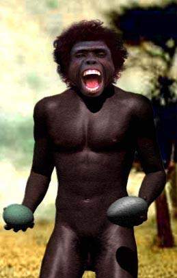homoerectus.jpg