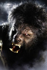 wolfman1