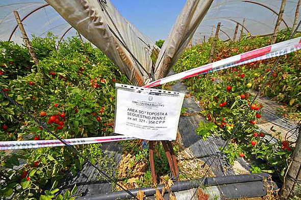 terra-dei-fuochi-caivano-3